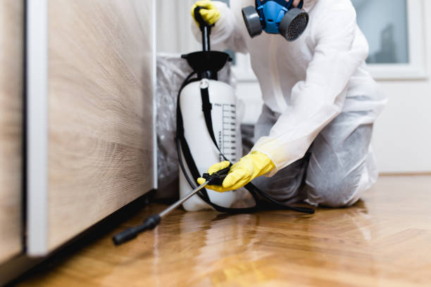 Best Termite Control Services  in Keuka Park, NY
