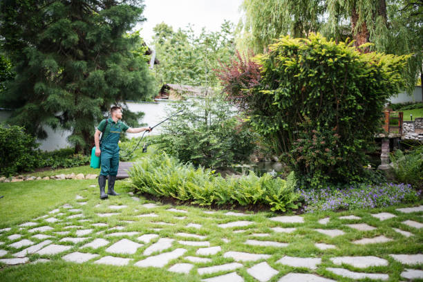 Best Mosquito Control Services  in Keuka Park, NY