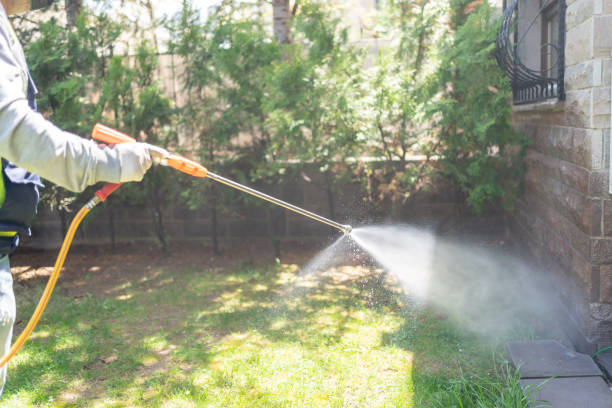 Best Best Pest Control Companies  in Keuka Park, NY