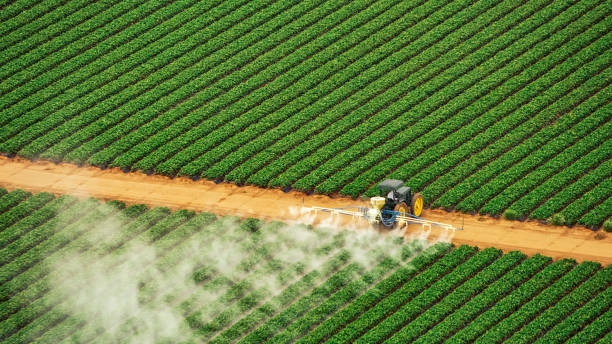 Best Commercial Pest Control Services  in Keuka Park, NY
