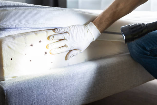 Best Flea Control Services  in Keuka Park, NY