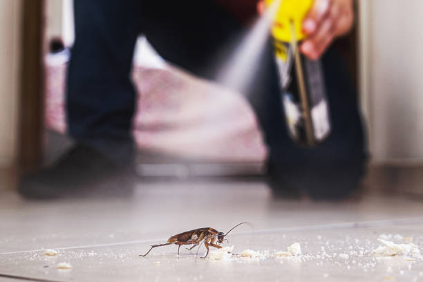 Best Pest Prevention Services  in Keuka Park, NY