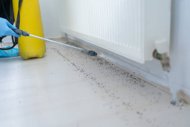 Best Ant Control Services  in Keuka Park, NY