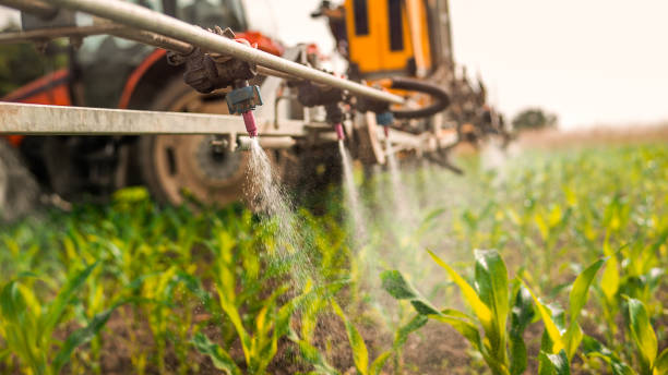 Pest Prevention Services in Keuka Park, NY